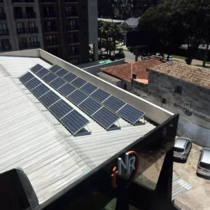 TNR do Brasil – Curitiba/PR